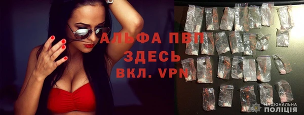 шишки Кодинск