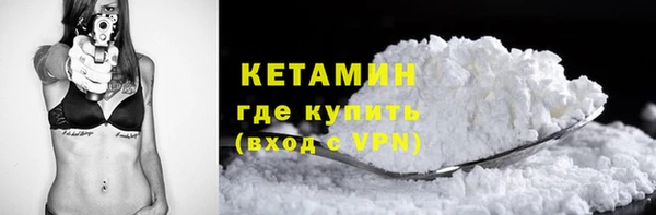 шишки Кодинск