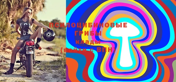 шишки Кодинск