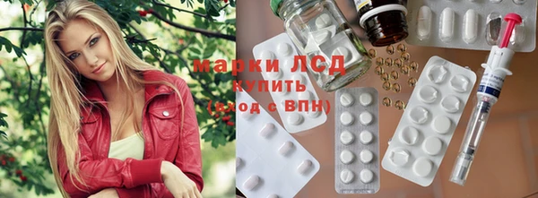 шишки Кодинск