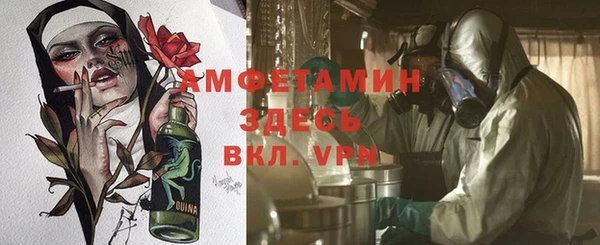 шишки Кодинск