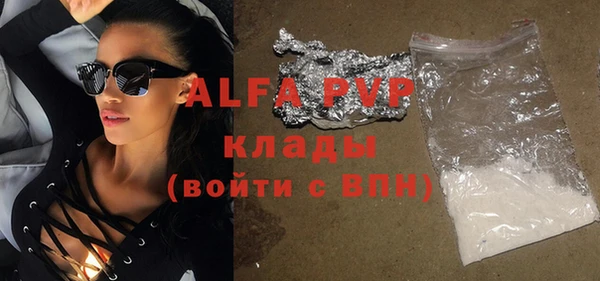 шишки Кодинск