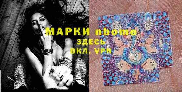 шишки Кодинск
