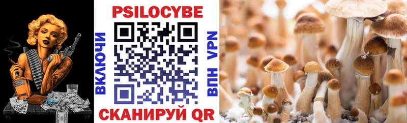 Купить закладки  Кондрово  Псилоцибиновые грибы Cubensis 